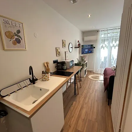 La Saphir Avec Terrasse Et Parking Prive Appartement *